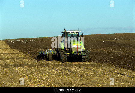 Les terres agricoles sont cultivées, Bawdsey, Suffolk, UK. Banque D'Images