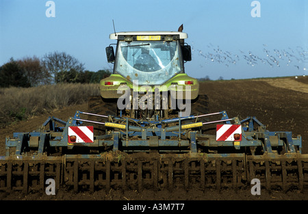 Un champ cultivé sur une ferme de Bawdsey près de Woodbridge, Suffolk, UK. Banque D'Images