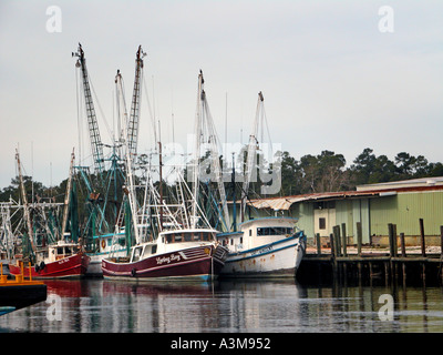 La flottille de crevettes dans le port de Pascoagula Mississippi et non pas la pêche à la pêche pour la crevette alimentaire à vendre pour faire vivre - beaucoup sont vietnamiens Banque D'Images