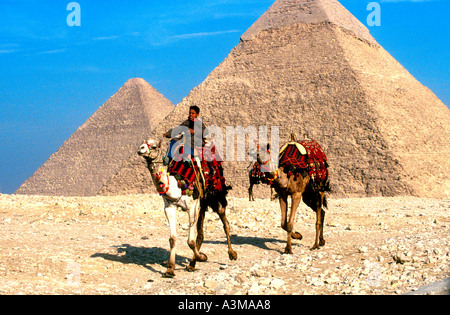 Boy riding camel à grandes pyramides Caire Egypte Banque D'Images