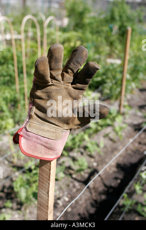 Miami Beach Florida, gant Victory Garden, poteau, FL060112044 Banque D'Images