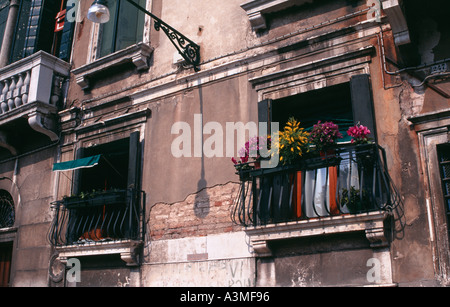 Un affichage coloré de cyclamen et d'autres plantes en pots sur le balcon d'une fenêtre à Venise Italie Banque D'Images