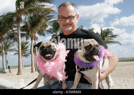 Miami Beach Florida,South Beach,Ocean Drive,Lummus Park,week-end art déco,festival,festivals,célébration de l'architecture,foire,chiens,pugs,propriétaire,homme hommes Banque D'Images