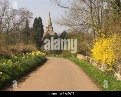 Oxfordshire Cotswolds Little Tew St Marys Parish Church et banque du printemps les jonquilles Banque D'Images