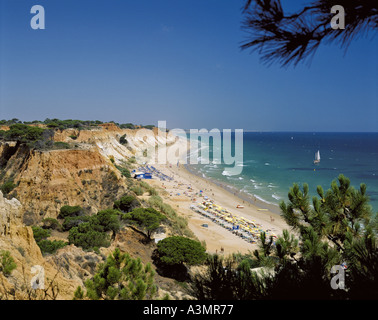 Le Portugal, l'Algarve, la plage de Falesia, vu de falaises à travers les pins Banque D'Images