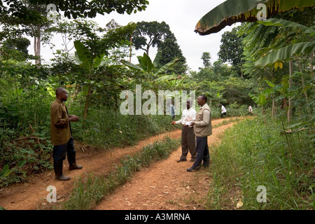 Travailleuse communautaire et les gestionnaires à discuter des questions de foresterie de plantation dans une plantation avec des espèces de bois indigènes, au Ghana Banque D'Images