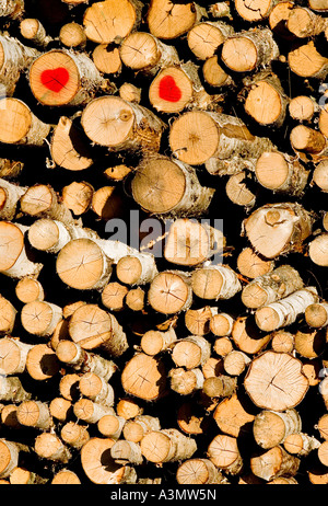 Pile de bois de bouleau ( Betula ) estampée de deux timbres rouges en forme de coeur , Finlande Banque D'Images