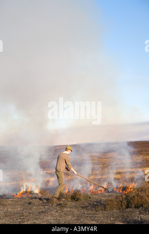 Brûlage contrôlé de la bruyère sur les landes, avril élevage des landes de Grouse. Deux garde-chasse brûlent de la bruyère pour encourager de nouvelles pousses de bruyère pour la nourriture. Banque D'Images