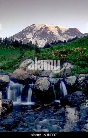 Mt Rainier au-dessus du ruisseau Edith et Paradise Meadows au lever du soleil le Mont Rainier National Park Washington Banque D'Images