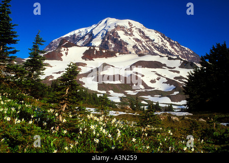 Mt Rainier avalanche au-dessus de la Spray lillies Park Mount Rainier National Park Washington Banque D'Images