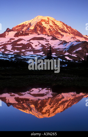 Lumière du soir sur le Mont Rainier reflétée dans un tarn en spray Park Mount Rainier National Park Washington Banque D'Images