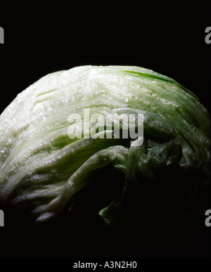 La laitue iceberg contre un fond noir, l'art contemporain, de la science et de l'alimentation, de la lune, l'eau, l'alimentation, l'alimentation, le poids, slim, Banque D'Images