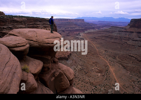 Randonneur sur White Rim road, le Parc National de Canyonland, Utah Banque D'Images