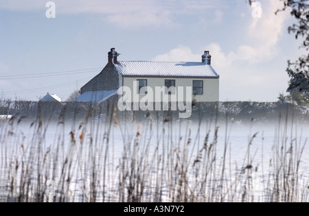 Ferme de Norfolk dans la neige avec des roseaux en premier plan Banque D'Images