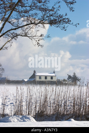 Ferme de Norfolk dans la neige avec des roseaux en premier plan Banque D'Images