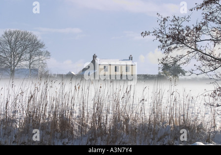 Ferme de Norfolk dans la neige avec des roseaux en premier plan Banque D'Images