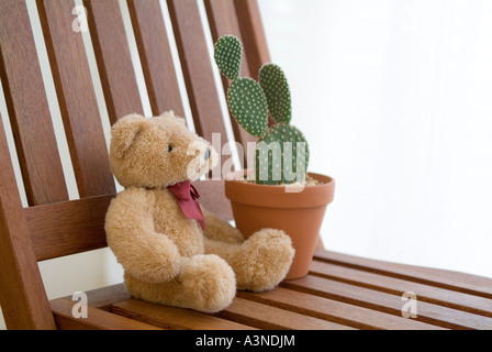 Cactus en pot plante et animal en peluche sur une chaise Banque D'Images