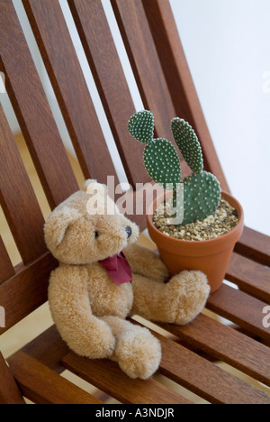 Cactus en pot plante et animal en peluche sur une chaise Banque D'Images