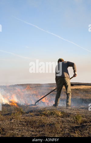 Brûlage contrôlé de la bruyère sur les landes, avril élevage des landes de Grouse. Deux garde-chasse brûlent de la bruyère pour encourager de nouvelles pousses de bruyère pour la nourriture. Banque D'Images