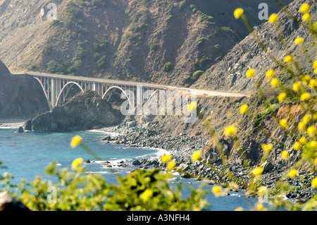 Pont sur l'autoroute Un le long de la côte ouest de l'océan Pacifc California USA Banque D'Images