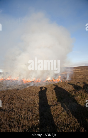 Brûlage contrôlé de la bruyère sur les landes, avril élevage des landes de Grouse. Deux garde-chasse brûlent de la bruyère pour encourager de nouvelles pousses de bruyère pour la nourriture. Banque D'Images