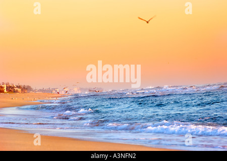 Soirée coucher de soleil sur Delray public Beach Florida avec un éclat de soleil doré se reflétant sur les vagues de l'océan. Autoroute A1A N Ocean Blvd. Plages écologiques et océans biodivers. Banque D'Images