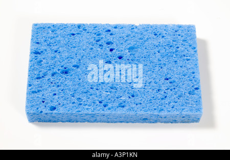 Éponge bleue Banque D'Images