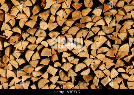 Pile de bois en Russie. Banque D'Images