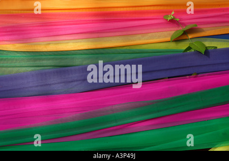 Arbre sacré bouddhiste enveloppés dans des rubans dans Nakhon Pathom, Thaïlande Banque D'Images
