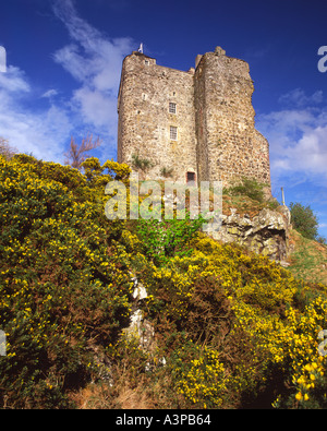 Neidpath Castle Peebles Ecosse Scottish Borders Banque D'Images