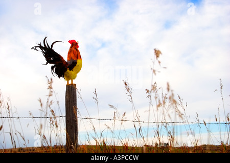 Coq sur piquet Banque D'Images