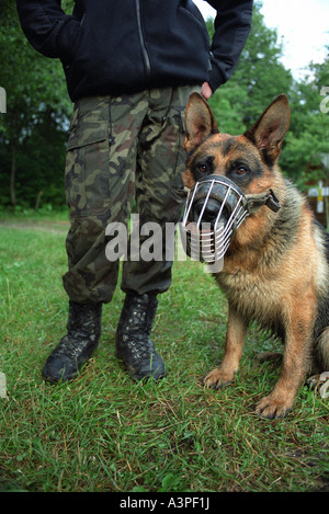 Un officier garde-frontière avec son chien, Ustrzyki Gorne, Pologne Banque D'Images