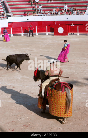 MONTPELIER FRANCE, 'Sud de LA FRANCE' 'combat de taureau' Matador Horseback à Palavas Arena, Palavas les Flots Banque D'Images