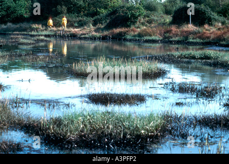 Marais pollués après déversement de pétrole et de raffinerie de Fawley Hampshire New Forest - UK Banque D'Images