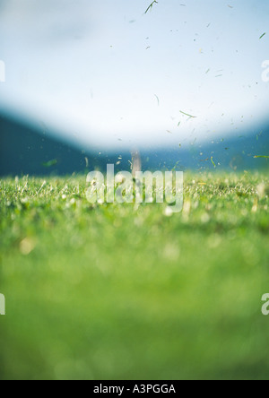 Vol d'herbe dans l'air après le départ Banque D'Images