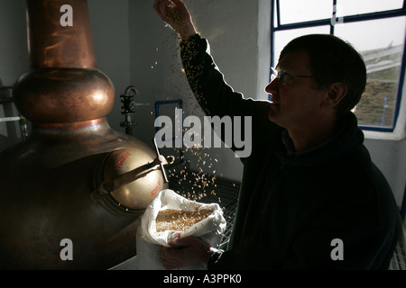 Anthony Wills se sent l'orge avant la production à partir de la Distillerie Kilchoman Banque D'Images