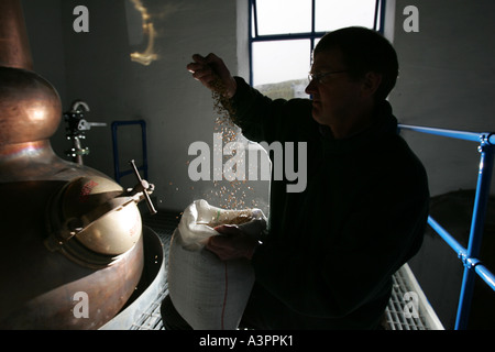 Anthony Wills se sent l'orge avant la production à partir de la Distillerie Kilchoman Banque D'Images