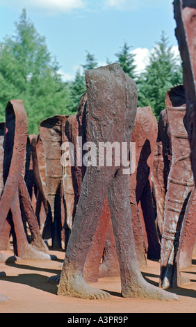 - Non reconnu l'art installation de Magdalena Abakanowicz à Poznan, Pologne Banque D'Images