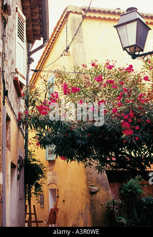 France cote d'Azur Provence alpes maritimes alpes mougins village près de cannes à la mode chic villages provencale Banque D'Images