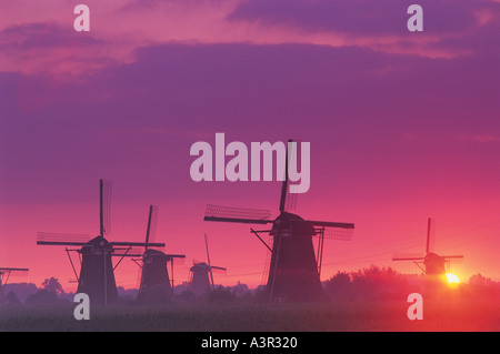 Les moulins à vent au coucher du soleil à Kinderdijk Hollande Pays-Bas Banque D'Images