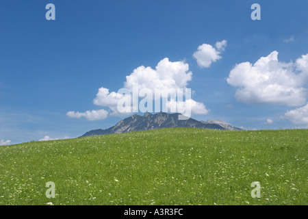 Paysage avec meadow Mount Soiernspitze près de Klais Garmisch Partenkirchen Allemagne Bavière Europe Banque D'Images