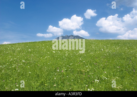 Paysage avec meadow Mount Soiernspitze près de Klais Garmisch Partenkirchen Allemagne Bavière Europe Banque D'Images