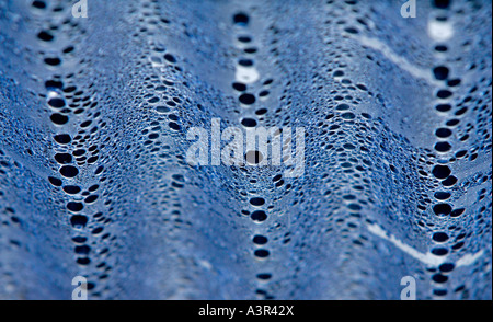 La Condensation sur un toit en plastique ondulé feuille. Banque D'Images