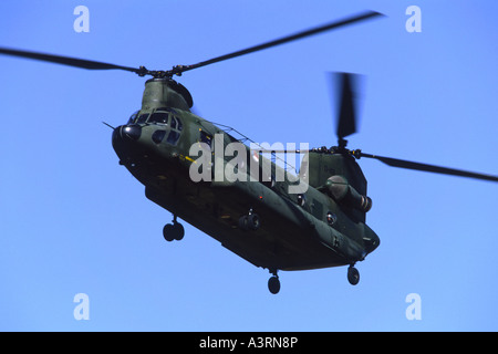 Boeing CH-47 Chinook exploités par 298 Squadron de la Royal Netherlands Air Force Banque D'Images