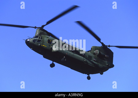 Boeing CH-47 Chinook exploités par 298 Squadron de la Royal Netherlands Air Force Banque D'Images