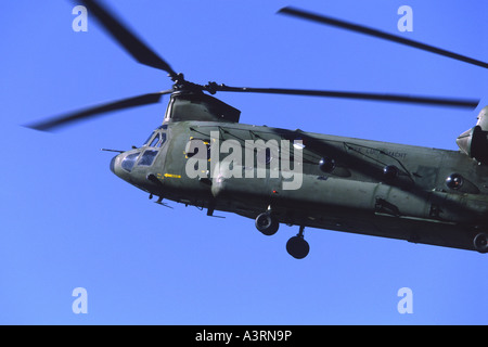 Boeing CH-47 Chinook exploités par 298 Squadron de la Royal Netherlands Air Force Banque D'Images