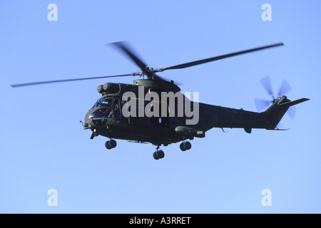 Westland Puma HC1 exploités par 33 Squadron, RAF Banque D'Images