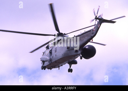 Westland Sea King ASAC7 exploités par 849 de la Royal Navy NAS Banque D'Images