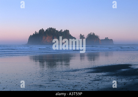 Première plage, plage n°1, Pazific Coast dans la lumière du matin, USA, Washington, Olympic NP Banque D'Images