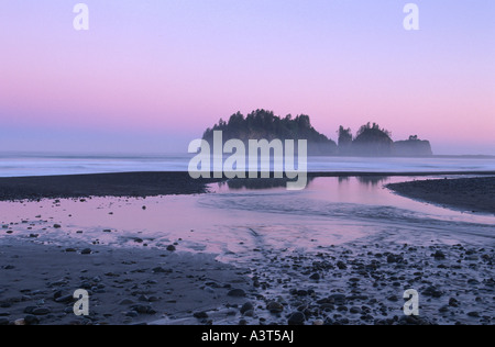 Première plage, plage no 1, Pazific Coast dans la lumière du matin, USA, Washington, Olympic NP Banque D'Images